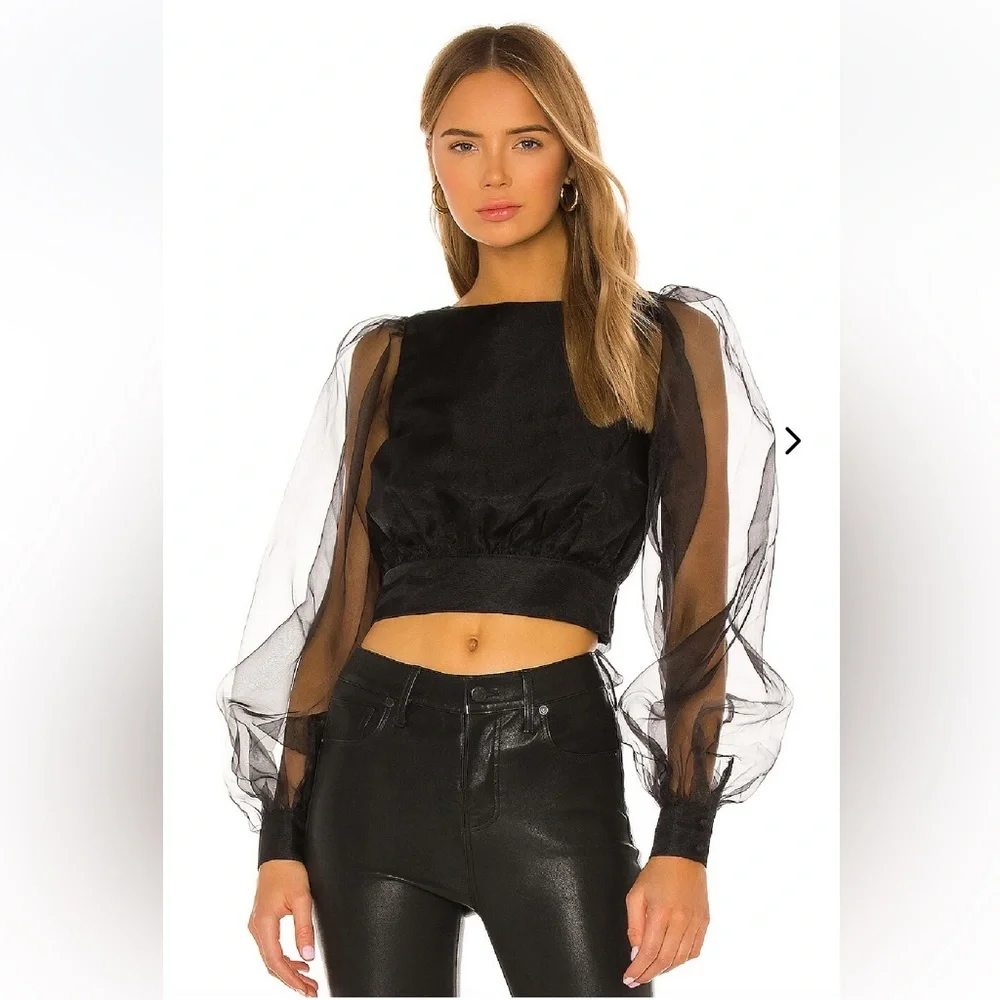 Lovers & Friends Organza Top - Picture 6 of 7